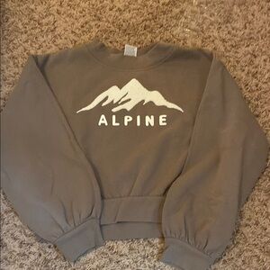 Alpine Women's Gray Sweater